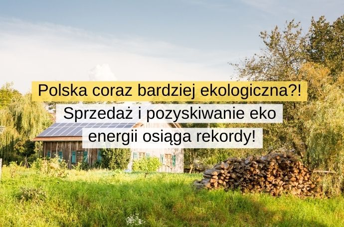 Polska coraz bardziej ekologiczna! Sprzedaż i pozyskiwanie eko energii osiąga rekordy!